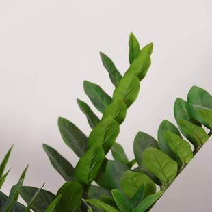 室仿真绿植钱叶仿真绿植盆栽内金客厅家落地装饰摆件尤加居利仿生