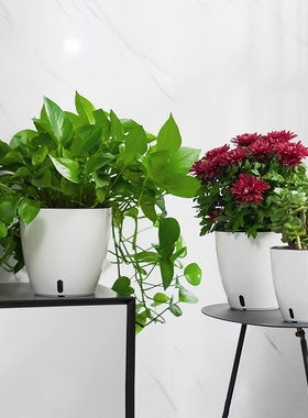 绿萝专用盆桌面白色简约塑料小号花盆水培K植物器皿懒人自吸水储