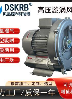 小功率2PB2100H33416型吹吸两用高压鼓风机250W、40W小污水曝气泵