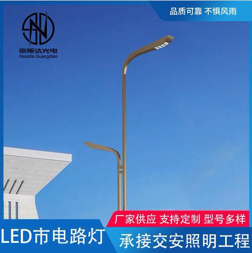 LED市电路灯户外单臂双臂市电路灯交通综合杆路灯杆8米10米路灯