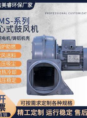 无纺布吸附应用静音直叶式压鼓风机M中S/150-32.2K419W中压风机38