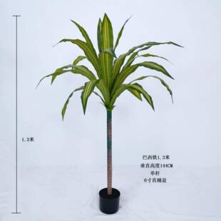 客厅装饰落地仿真巴西铁树绿植餐厅室绿造植巴景巴西铁西铁内盆栽