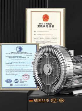 655风高压漩涡气泵大功率风工业除尘吸料吸鼓机20v离心风2机旋涡