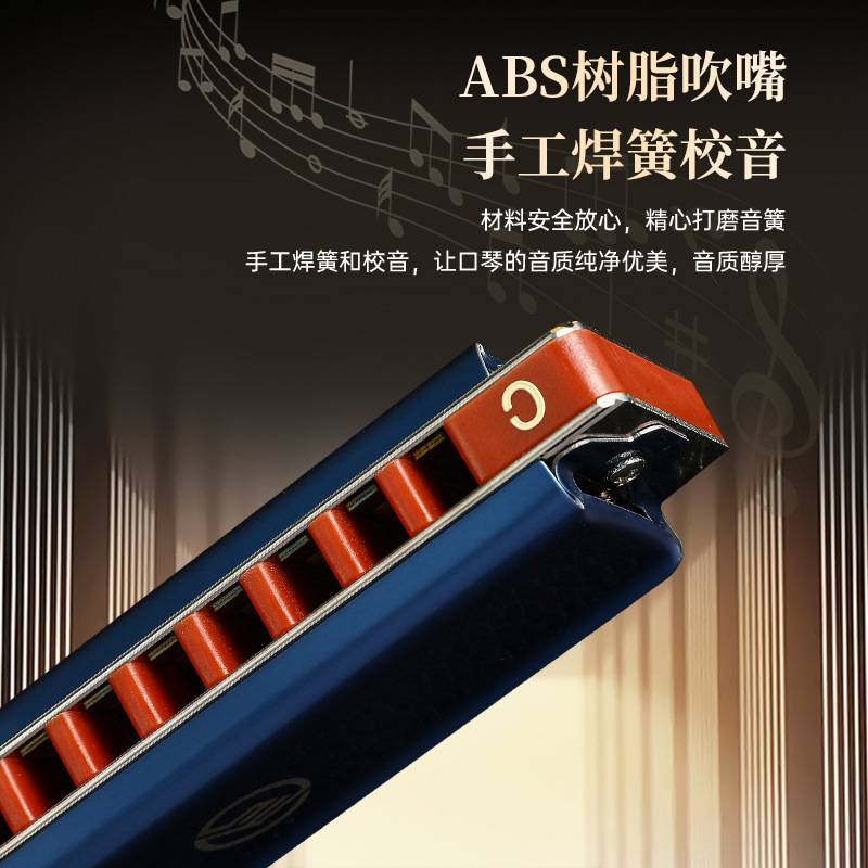 FEIFAN飞繁十孔C调布鲁斯口琴SP20初学者入门成人专业蓝调乐器