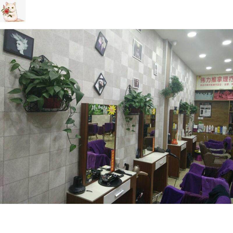 721.绿萝花墙上盆架花架挂壁花挂铁艺欧式包架邮室内半圆阳台悬挂,基础建材,脚轮/万向轮,淘宝优惠券,粉丝福利购,淘宝优惠卷