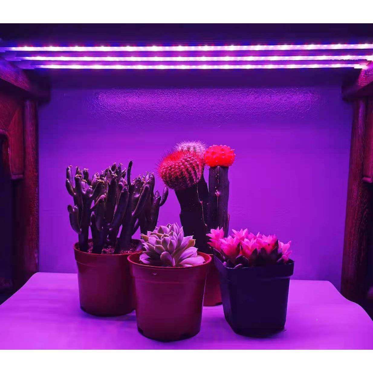 L一ED植控物生长灯线条灯带四线遥补光灯绿无植栽培PBV多肉植物灯,饰品/流行首饰/时尚饰品新,其他DIY饰品配件,淘宝优惠券,粉丝福利购,淘宝优惠卷