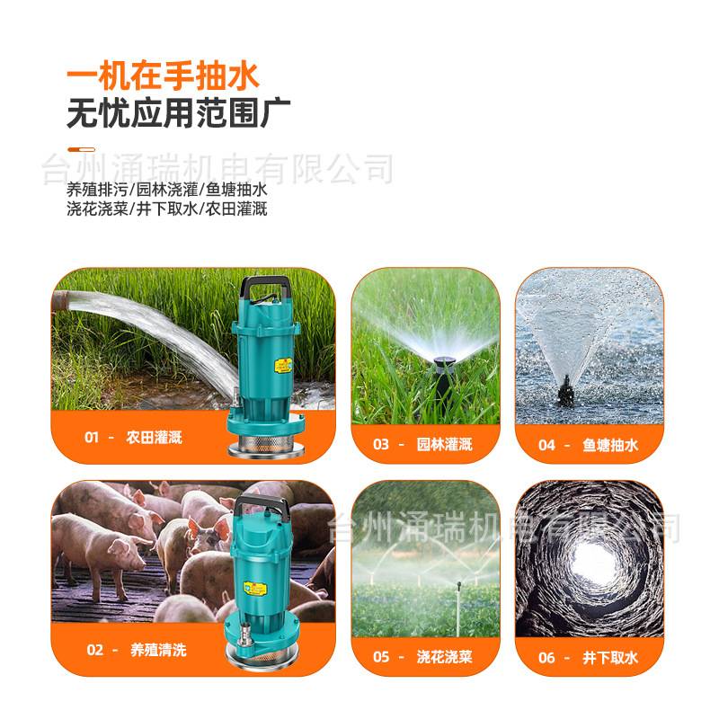 220V单相潜水电泵QDX清水泵高扬程抽水机自吸自吸泵增压泵潜水泵