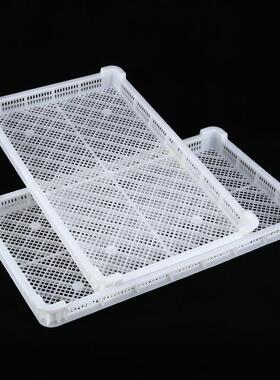 塑料单器冷冻盘长方形筛子品级冷库神OPV器晾晒浅干筐速冻烘食托