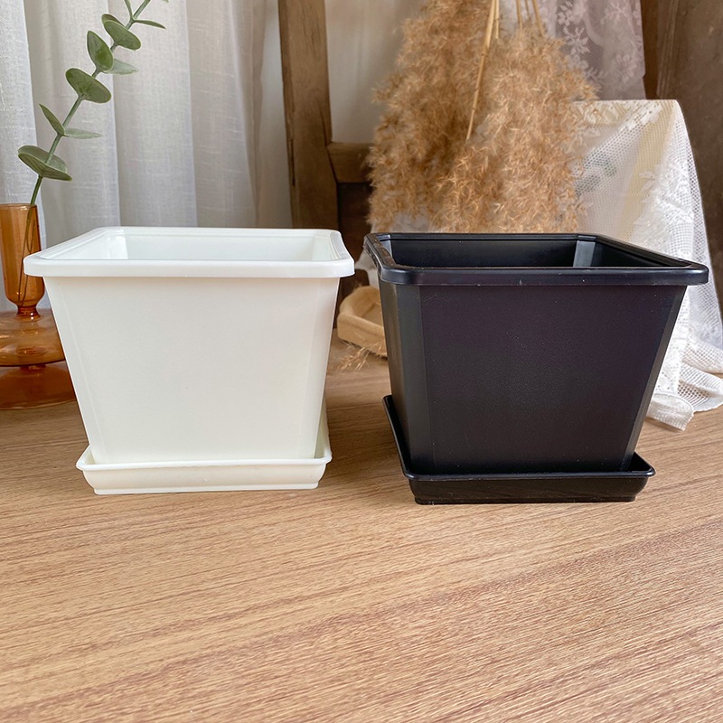 多肉花盆景天小方盆 十二卷生石花pp盆 多肉植物群V生老庄盆大方