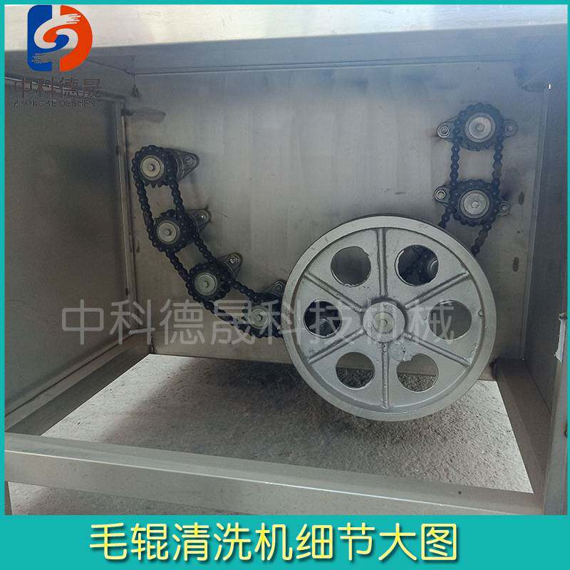 阳澄湖海蛎子生蚝毛刷清洗设备价格 海虹大闸蟹牡蛎毛辊清洗机