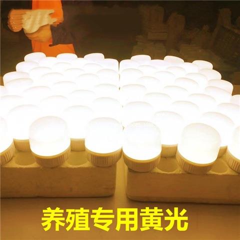 养鸡场暖光灯泡暖光5瓦E7螺2光5w节能灯10WIXR照明暖鸡口用超亮黄