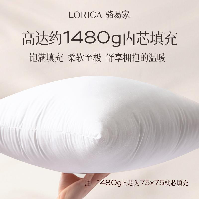 6L床头靠背垫包2A0大Fhmxzqzw25新款靠垫榻榻米软床上抱枕客厅沙