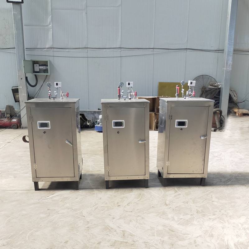 小型电加热蒸汽发生器  桥梁养护蒸汽机 现货直供 电蒸汽炉