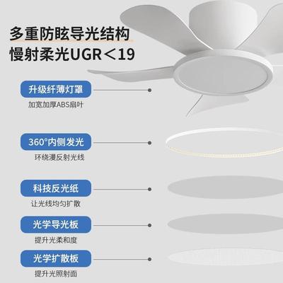 吸顶风扇灯卧室餐厅202新扇灯5家用吊阳台过道书房带电风扇50吊款
