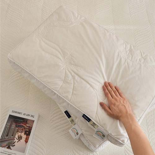 20240509现代风8s赛丝枕芯双上层蚕柔丝下羽丝0棉枕头柔软亲肤枕