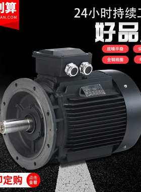 意大利HOYER MOTOR霍尔三相异步铝壳电动机IE2工业马达MS90S-4