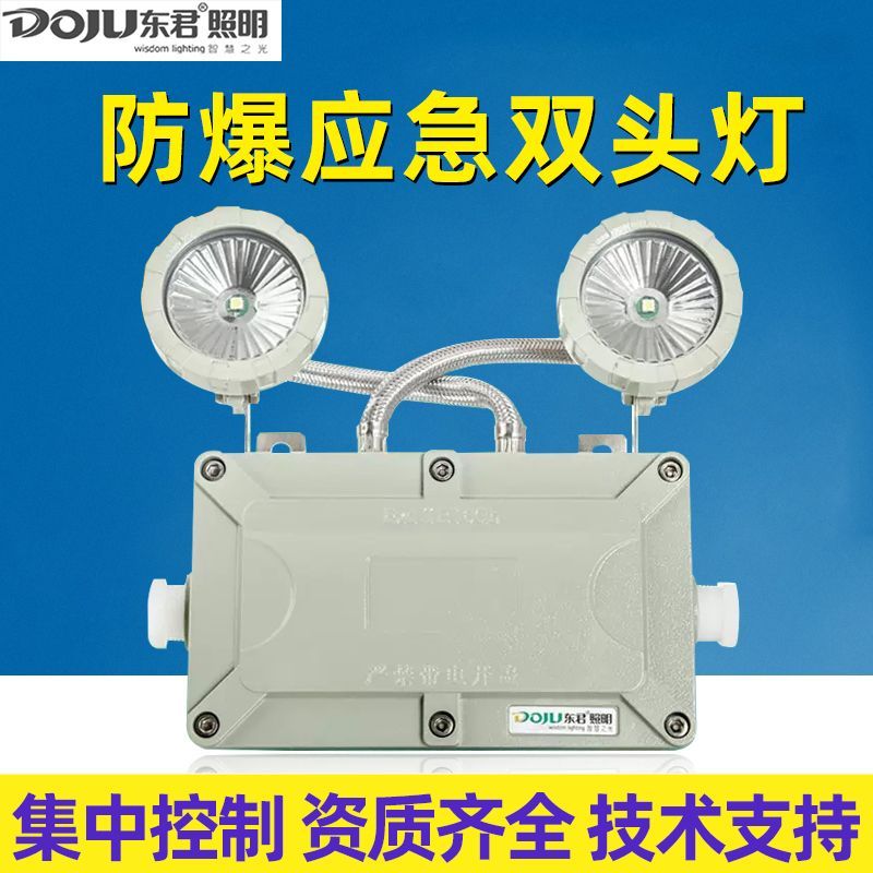 东君a型智能防爆应急灯集中电源控制消防应急灯应急照明标志灯具图片