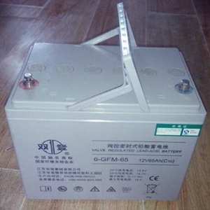 双登蓄电池12V65AH双登6-GFM-65免维护铅酸UPS应急电源后备储蓄型