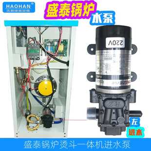 容泽水泵左右进水泵 10隔膜泵抽水泵220V原装 盛泰ST 9N锅炉水泵ST
