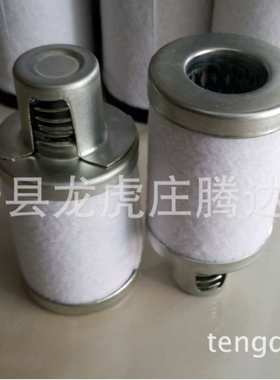 18971莱宝AF4AF8 D2A D4AD4B D8B真空泵滤芯