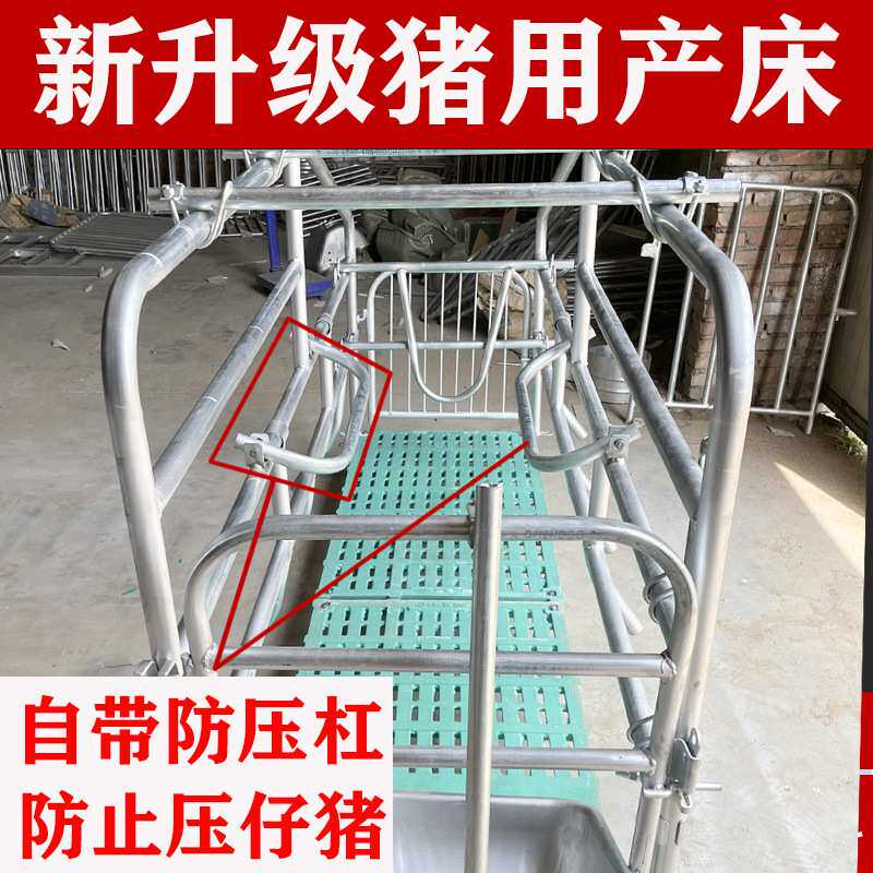 母猪产床母猪分娩床猪用单体产床产保一体床定位栏母猪限位栏