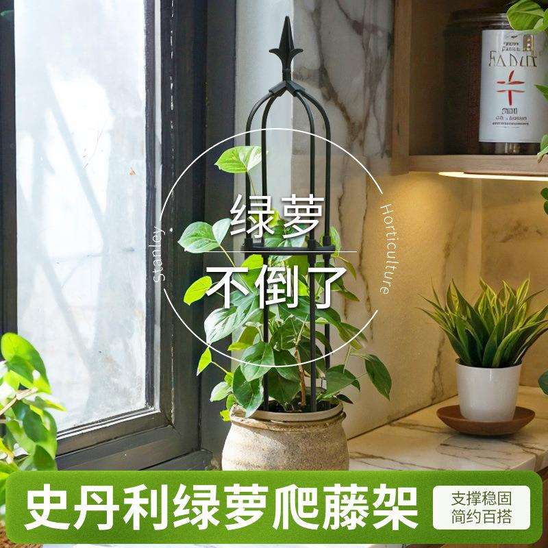 新款绿萝架爬藤架花架园艺支柱户外阳台庭院月季铁线莲攀爬支架