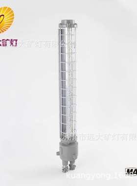 厂家生产矿用巷道灯DGS24/127长条形24W127V长型隔爆型灯高亮节能