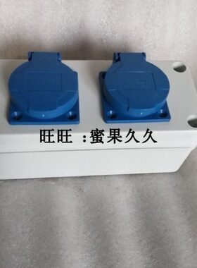 2孔插座盒 180*80*70mm防水电源盒带插座 圆孔蓝色单项220V配电盒