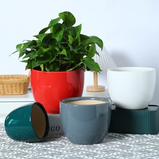 陶瓷花盆家用简约红色绿萝文竹白掌红掌花盆处理繁星