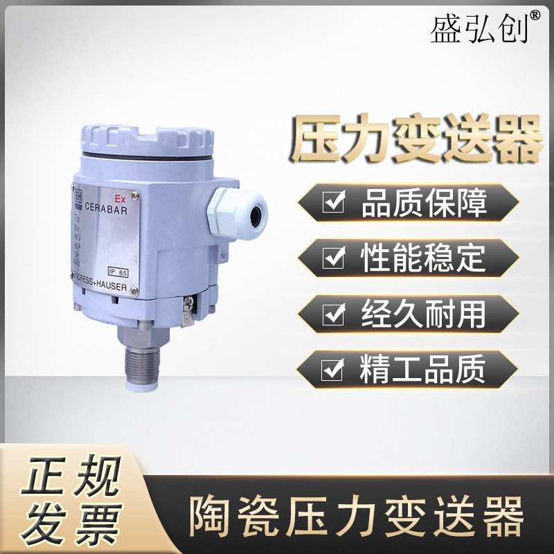 BL-Y203陶瓷电容压力变送器 小巧型压力传感器 E+H外观液位变送器