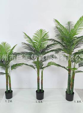 仿真金竹葵仿天竺真葵家居饰仿真散尾葵人造装夏威夷jm200609葵绿