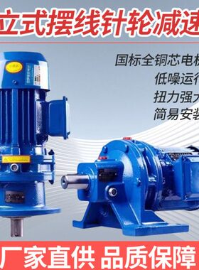 常州减速机BWDXWD摆线针轮减速机立式卧式减速器国标电机一体
