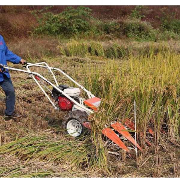农用稻麦微型割晒机 小麦水稻手推式收割机 农业玉米地收获机