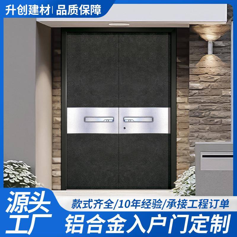 别墅双开智能大门入户门铸铝门农村自建房门防盗门庭院隔音进户门