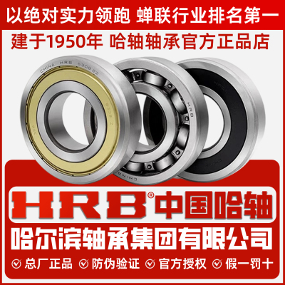 HRB哈尔滨轴承集团6200 6201 6202 6203 6204 6205 6206RZ ZZ哈轴