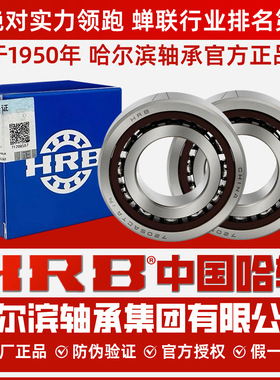 HRB哈轴配对轴承7205AC 7206AC 7207AC 7208AC TA/P5/P4 DBB