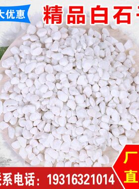 贵州白色鹅卵石枯山水景观石子铺地小白石头黄色石子庭院造景白石