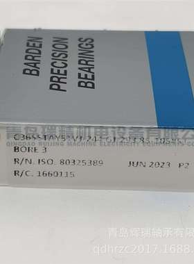 BARDEN真空泵分子泵轴承C36SSTAY51VJ-244GJ-293