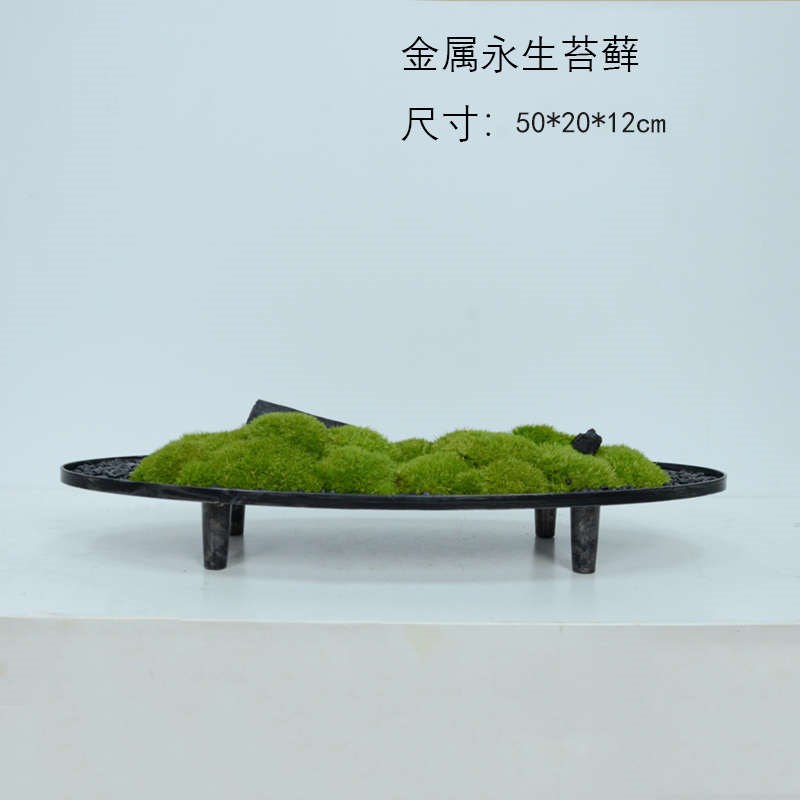 新中式现代椭圆型金属桌面苔藓盆B景装饰柜茶几博古架餐桌绿植摆