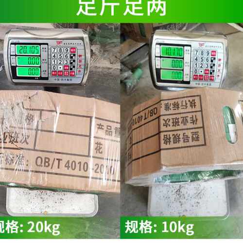 晶知pet塑钢打包带编织带捆绑带打包扣手工用1608绿色包装捆扎塑
