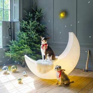 工厂直销2022新款 月亮灯北欧网红客厅卧室户外样板间草坪灯落地灯