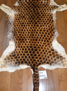 整张真毛皮褥子X19沙发垫汽车坐靠垫飘窗垫椅垫户外防潮垫保温垫