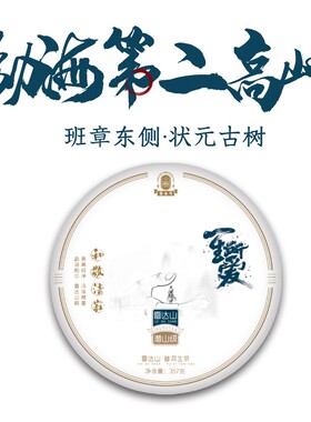 雷达山一生所爱勐海第二高峰高海拔普洱生茶班章东侧状元古树