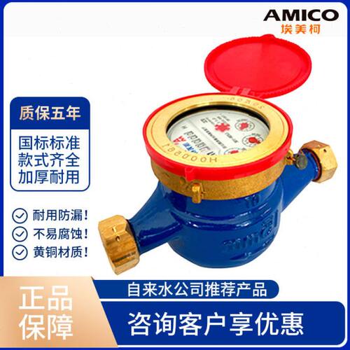 埃美柯097 LXSR旋翼热水表DN15 DN20 DN25 4分6分1寸