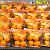 金色高档烫金橙子袋砂糖桔金桔袋橘子包装 鲜元 新款 袋沃柑自封袋