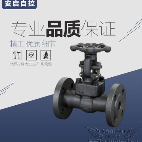 Z41Y-100I高温蒸汽540℃铬钼钢锻钢法兰闸阀DN15 20 25 32 40 50