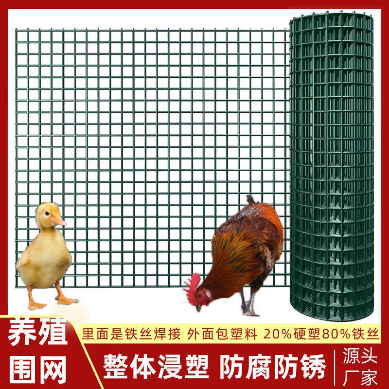 铁丝荷兰网鸡鸭围栏养殖网小孔防鼠圈地防护网绿色包塑加厚隔离网