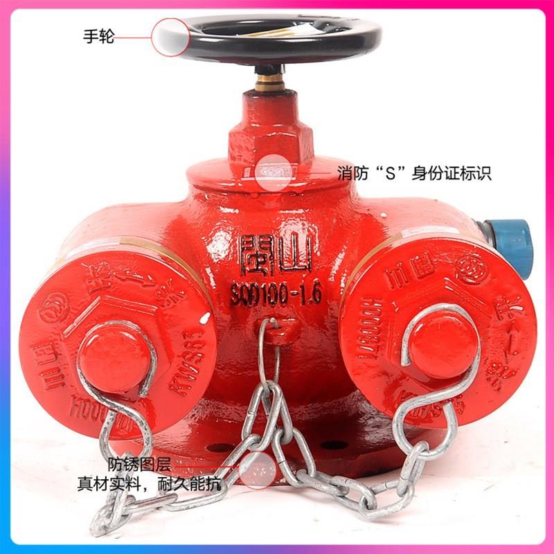 闽山地上地下水泵接合器 SQS150 SQB100-65-1.6 墙壁式水泵接合器