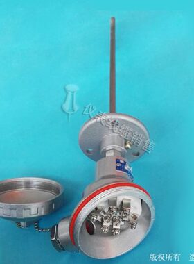 WZPK2-330双支铂热电阻 WZPK2-331 WZPK2-336 PT100温度传感器