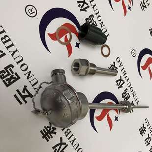 240AdIIBT4 WZP WZPK 24活络管接头式